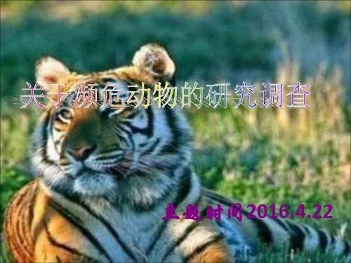 高中濒危动物课题研究报告优质模板