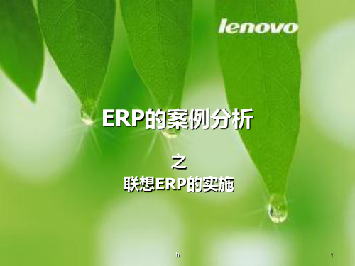 ERP的案例分析(论文资料)