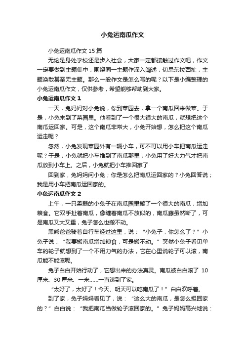 小兔运南瓜作文15篇