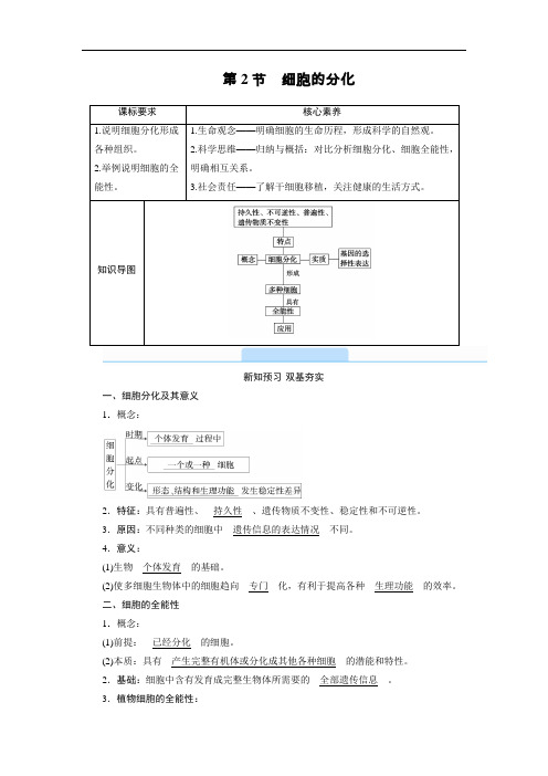 新教材人教版必修1 第6章 第2节 细胞的分化 学案