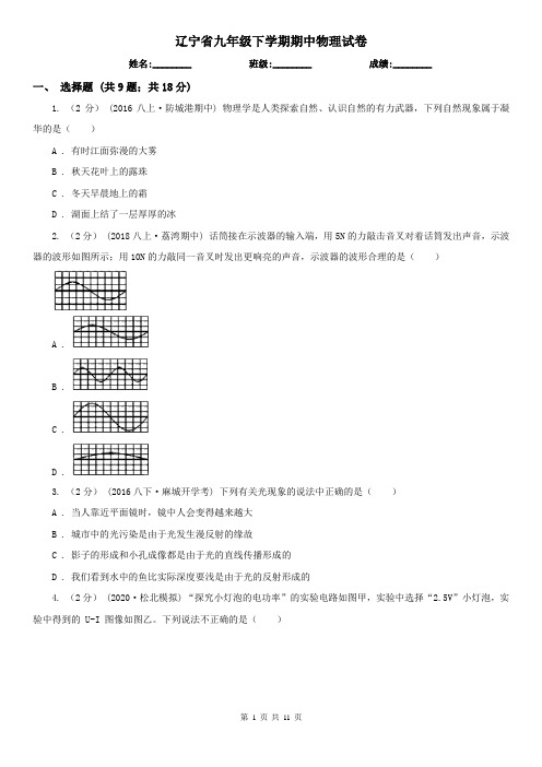 辽宁省九年级下学期期中物理试卷