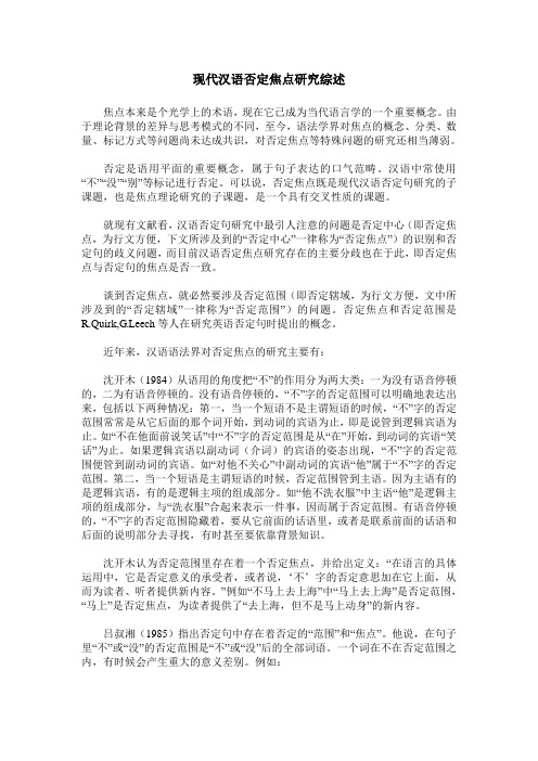 现代汉语否定焦点研究综述