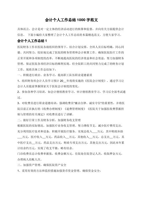 会计个人工作总结1000字范文