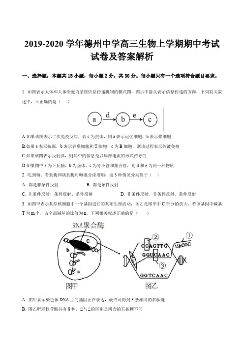 2019-2020学年德州中学高三生物上学期期中考试试卷及答案解析