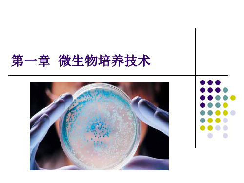 第一章微生物的分离和纯培养hw