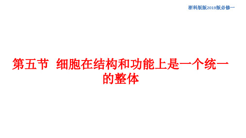 浙科版(2019)必修一  2-5 细胞在结构和功能上是一个统一整体(1) 课件(22张)