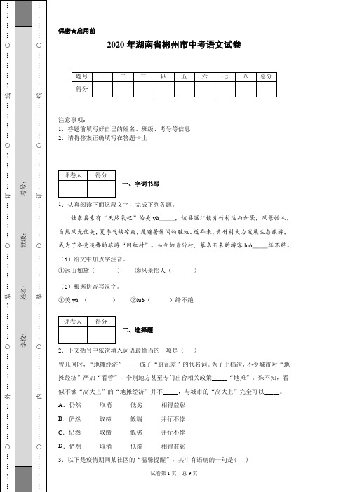 2020年湖南省郴州市中考语文试卷(含详细解析)