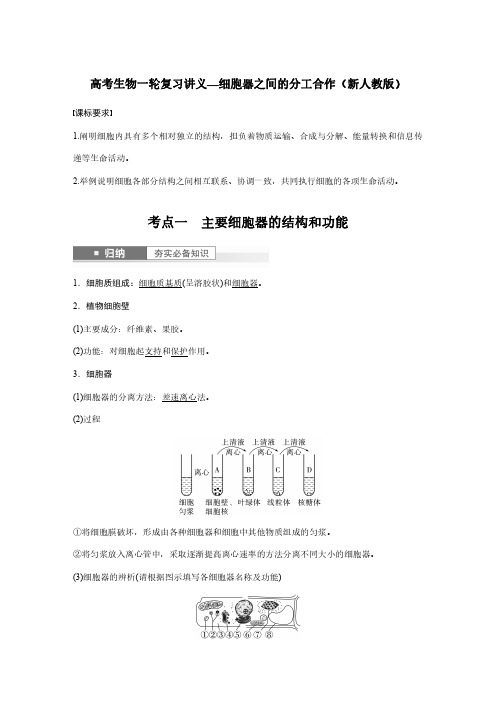 高考生物一轮复习讲义—细胞器之间的分工合作(新人教版)