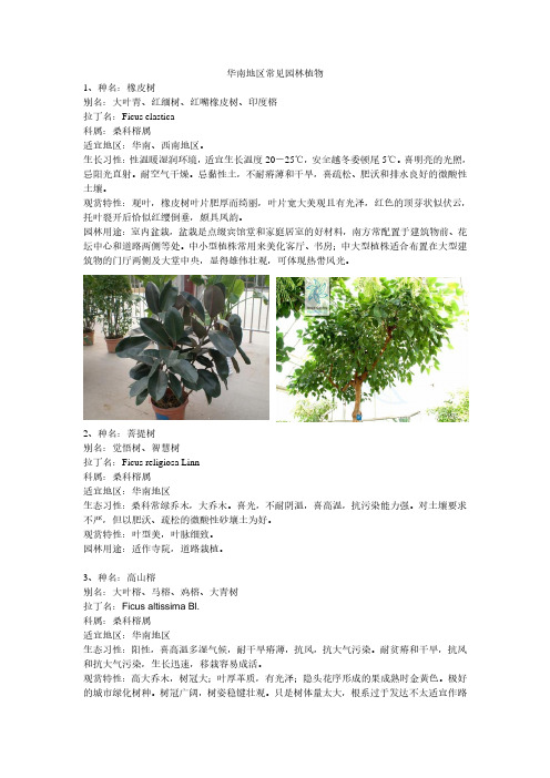 常见园林植物(华南地区)1