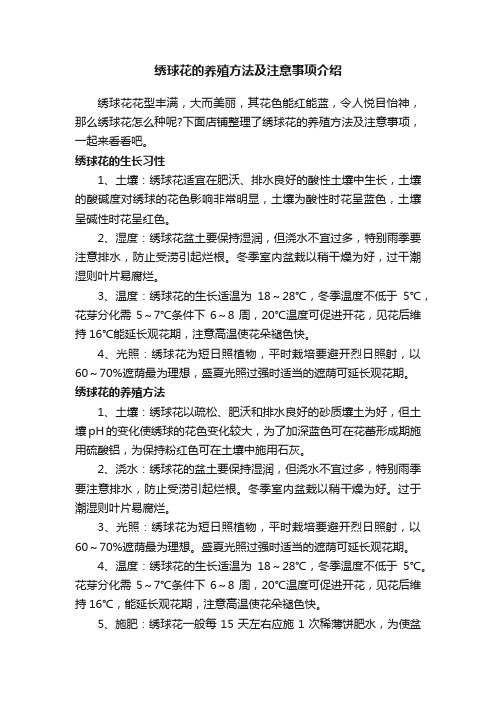 绣球花的养殖方法及注意事项介绍