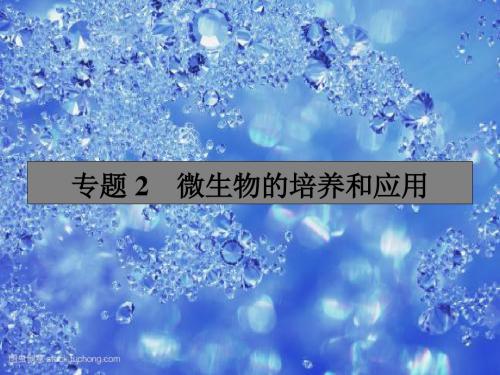 高考生物一轮复习课件-选修1 生物技术实践 选修1.2