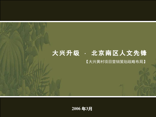 大兴黄村项目营销策划战略布局竞标提案