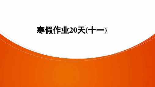 2021年中考广东省深圳寒假作业20天(11)课件