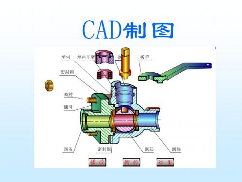 CAD初级绘图