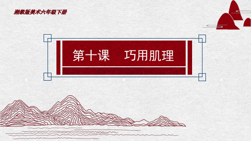 六年级下册美术第十课巧用肌理湘美版 (14)