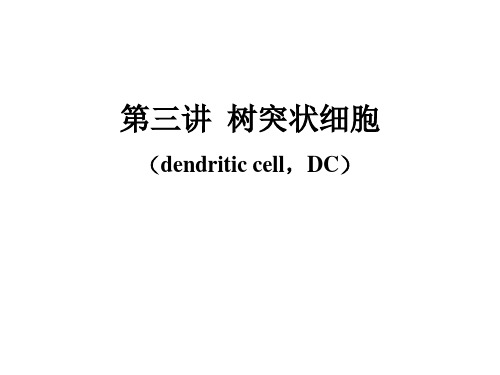 树突状细胞简介