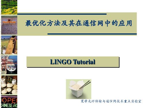 LINGO(最优化)