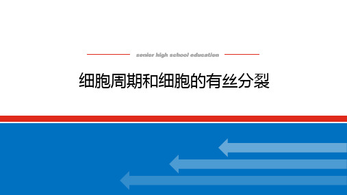 高考生物复习课件 4.1 细胞周期和细胞的有丝分裂