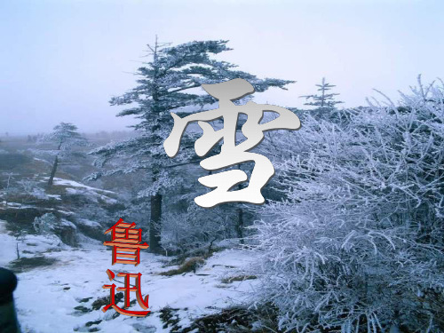 八年级语文雪2