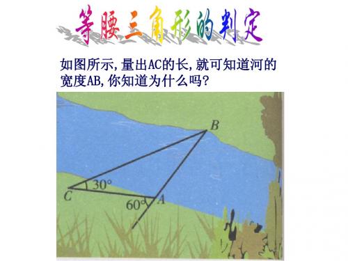 2.2 等腰三角形的性质 课件2(数学浙教版八年级上册)