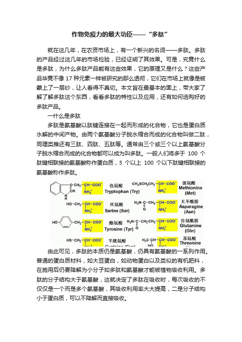 作物免疫力的最大功臣——“多肽”