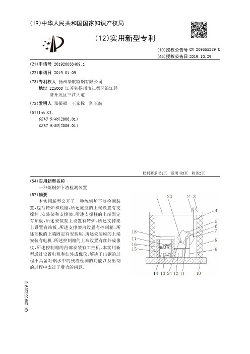 【CN209555289U】一种炼钢炉下渣检测装置【专利】