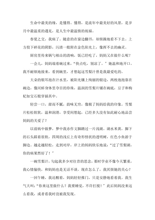 你的什么我懂作文600字精选