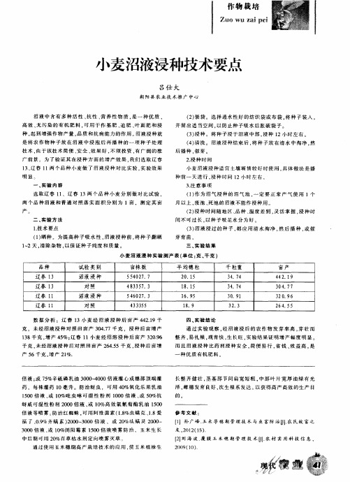 小麦沼液浸种技术要点