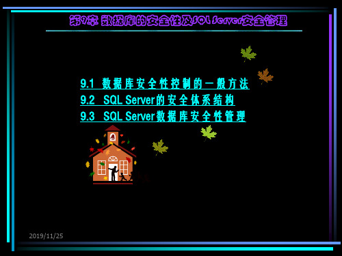 c9 数据库的安全性及sql serve安全管理