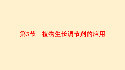 【高中生物】2023-2024学年 人教版  选择性必修一  植物生长调节剂的应用教学课件