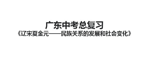 人教部编版广东中考总复习《辽宋夏金元——民族关系的发展和社会变化》 课件(14张)