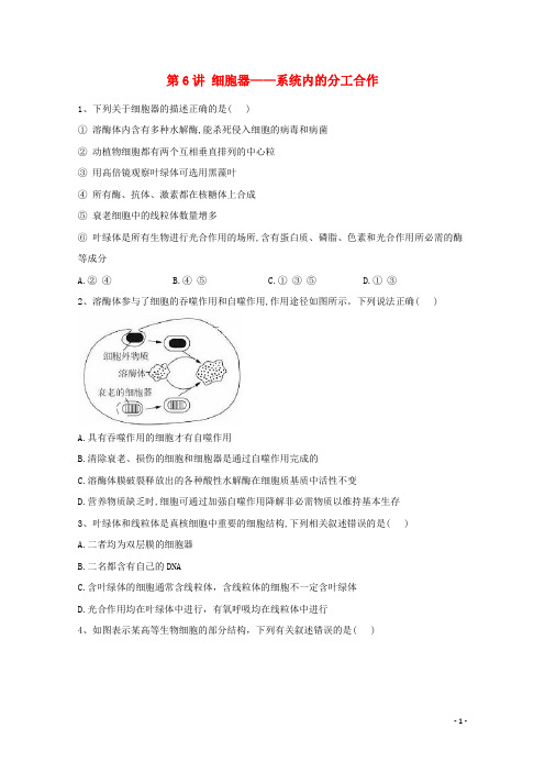 2021年高考生物一轮复习 第6讲 细胞器——系统内的分工合作跟踪练（含解析）