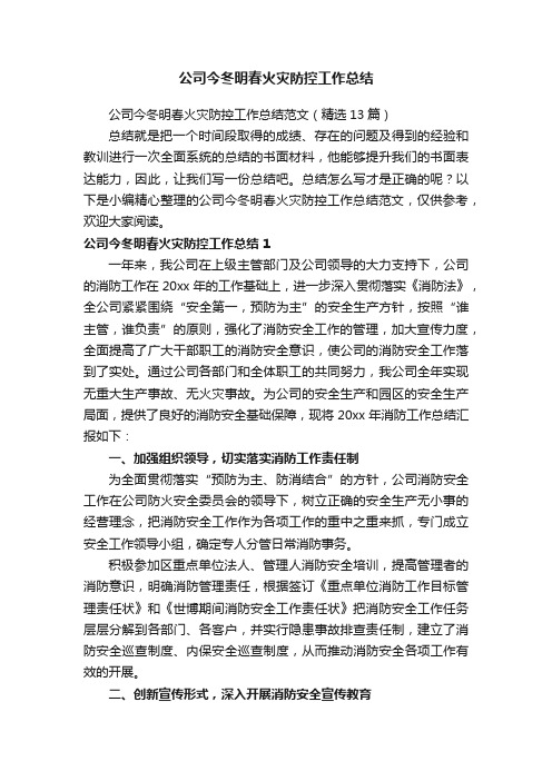 公司今冬明春火灾防控工作总结范文（精选13篇）