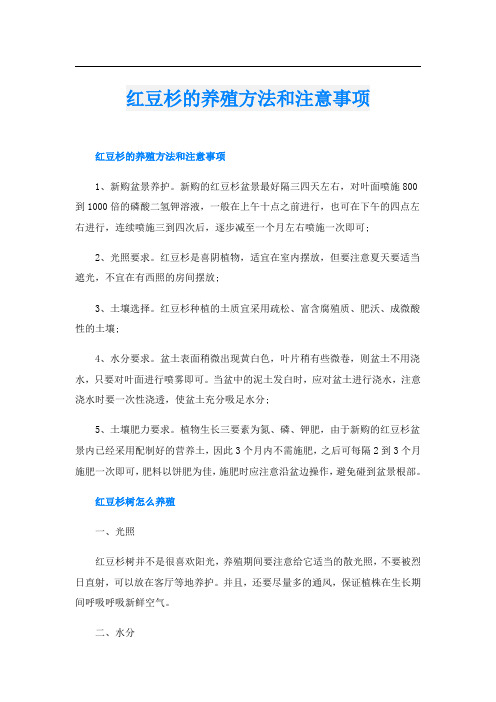 红豆杉的养殖方法和注意事项