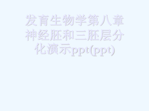 发育生物学第八章神经胚和三胚层分化演示ppt(ppt)