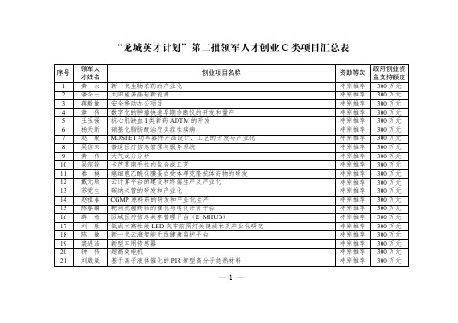 “龙城英才计划”第二批领军人才创业 C类项目汇总表