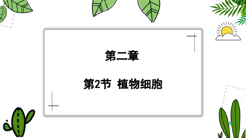 人教版生物七年级上册1.2.2《植物细胞》(教学课件)(共25张PPT)+视频素材