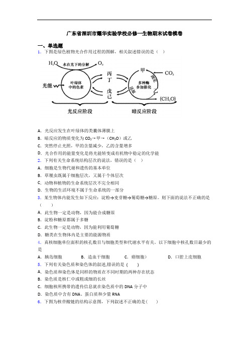 广东省深圳市耀华实验学校必修一生物期末试卷模卷