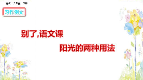 部编版习作例文《别了,语文课  阳光的两种用法》课件