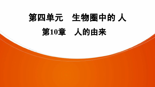 广东中考生物《第4单元 第10章 人的由来》知识点复习