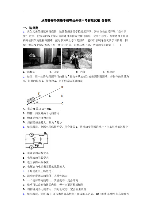 成都嘉祥外国语学校郫县分校中考物理试题 含答案