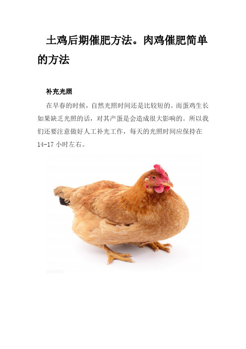 土鸡后期催肥方法。肉鸡催肥简单的方法