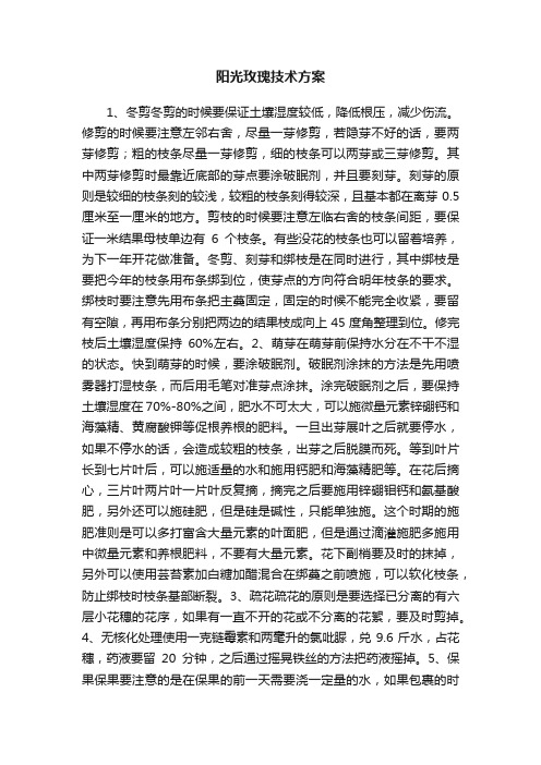 阳光玫瑰技术方案