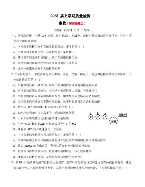 河北省部分学校2024-2025学年高三上学期第二次质检试题 生物含答案