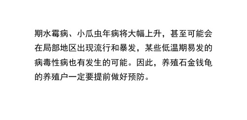 广东冬季石金钱龟养殖病害预测及应对措施PPT课件