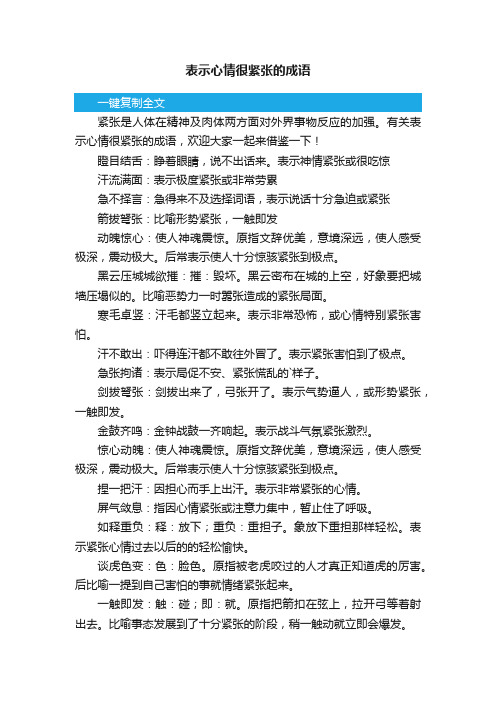 表示心情很紧张的成语