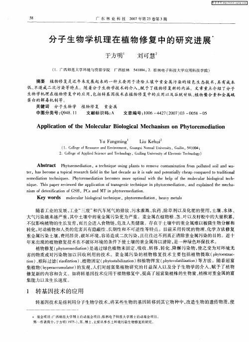 分子生物学机理在植物修复中的研究进展