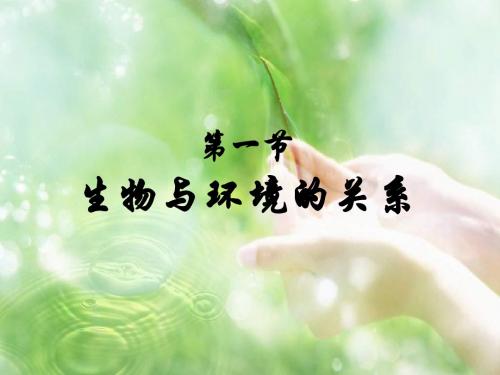 人教版七年级生物上册 1.2.1 生物与环境的关系(51张PPT)