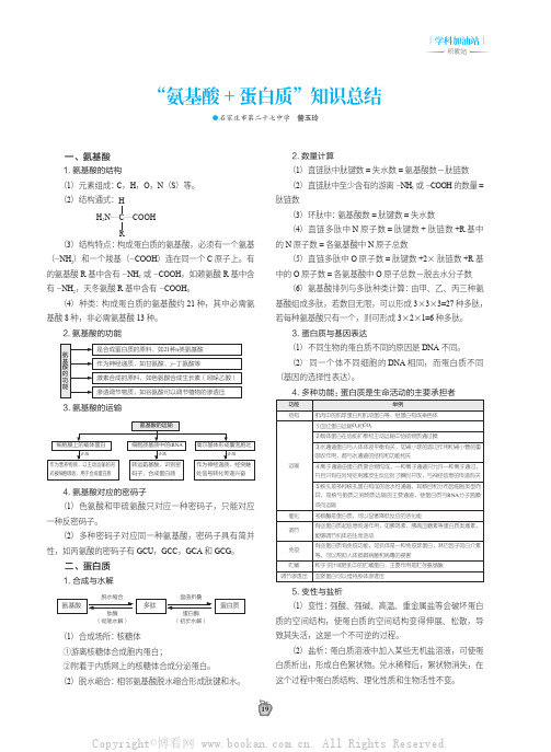 “氨基酸+蛋白质”知识总结