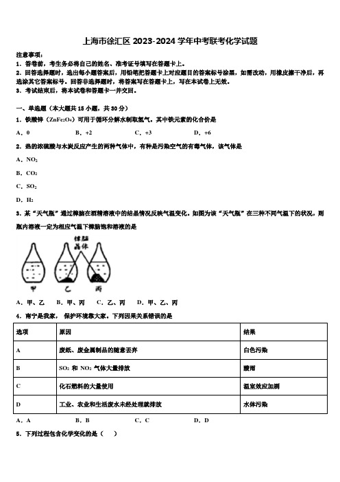 上海市徐汇区2023-2024学年中考联考化学试题含解析